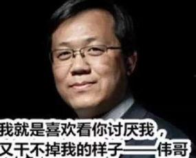 卓伟爆料成毅刘烨视频是真的吗,成毅刘烨视频真实性引发热议  第1张