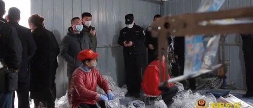 化肥厂爆料事件视频最新,揭秘行业黑幕与环保危机 第1张 化肥厂爆料事件视频最新,揭秘行业黑幕与环保危机 第1张