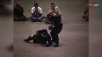 截拳宗师爆料视频大全,爆料视频大全深度解析 第1张 截拳宗师爆料视频大全,爆料视频大全深度解析 第1张