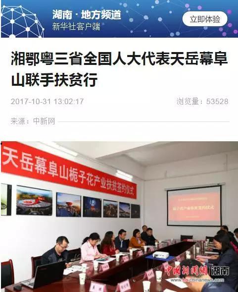 岳阳市最新爆料新闻报道,揭秘重大事件背后真相  第1张