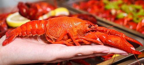 厦门龙虾爆料事件视频曝光,揭露海鲜市场惊人内幕  第1张